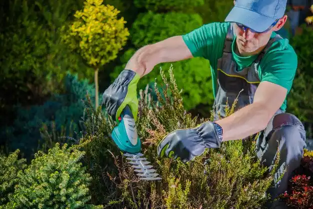 landscaping services Trimble